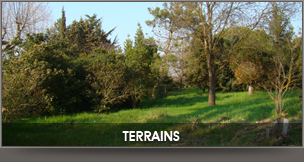 Vente terrains