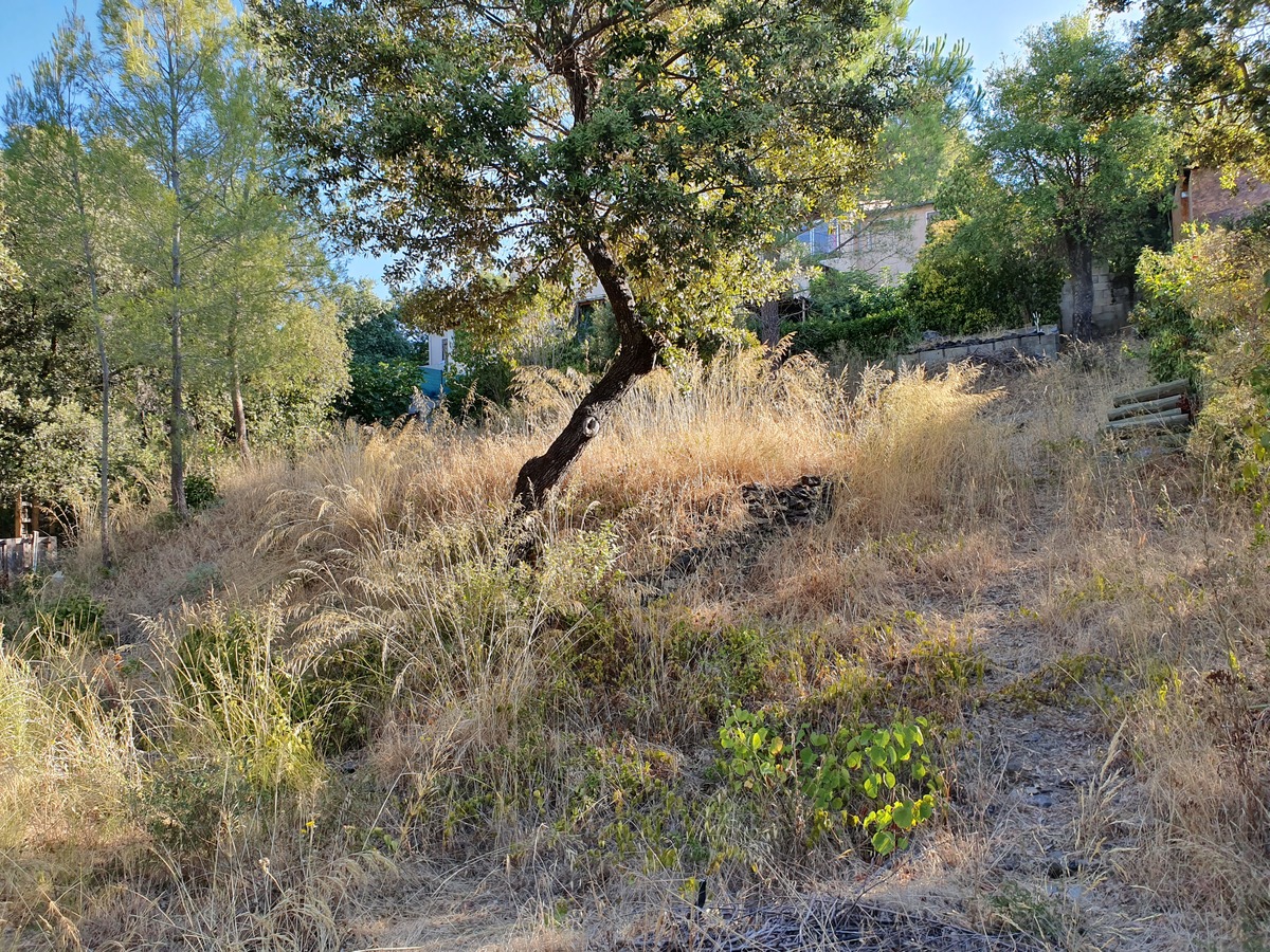 Terrain - Pierrefeu-du-Var