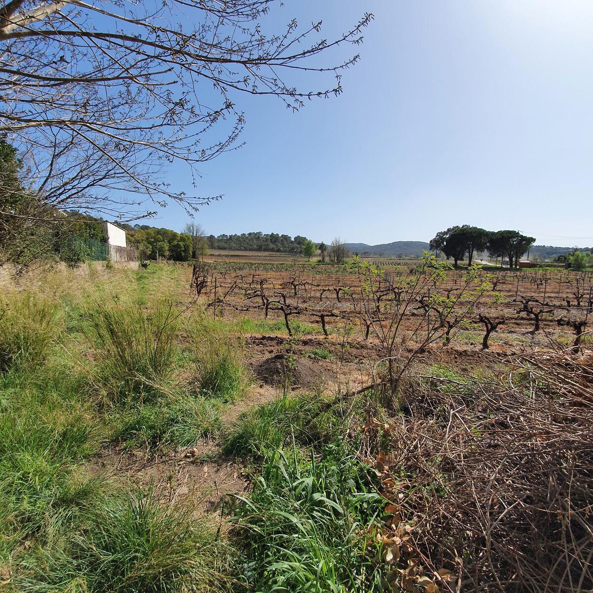 Terrain - Pierrefeu-du-Var