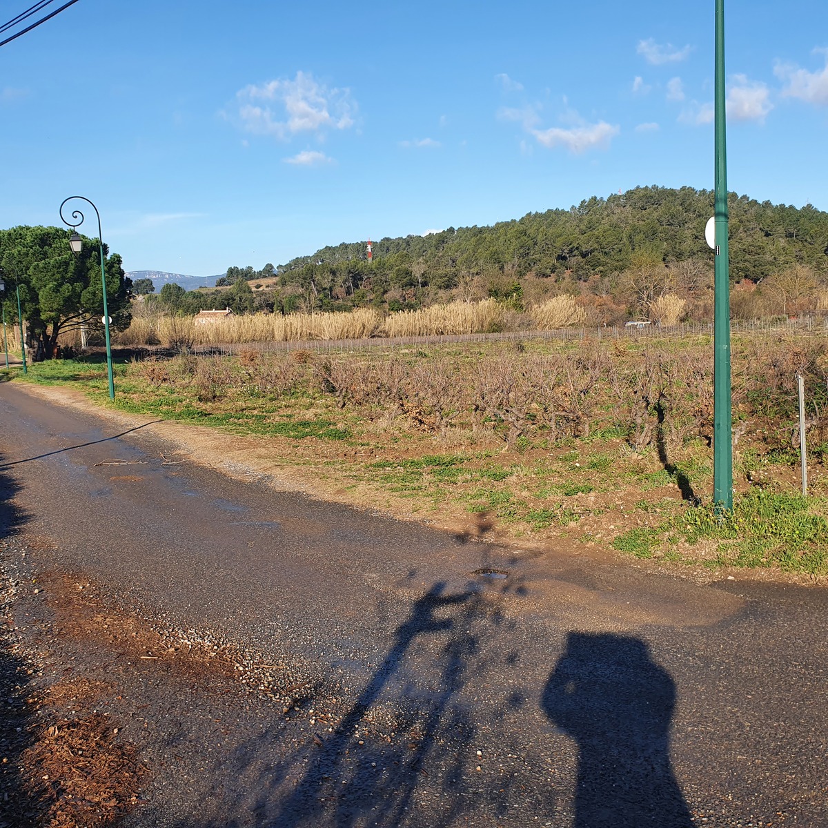 Terrain - Pierrefeu-du-Var