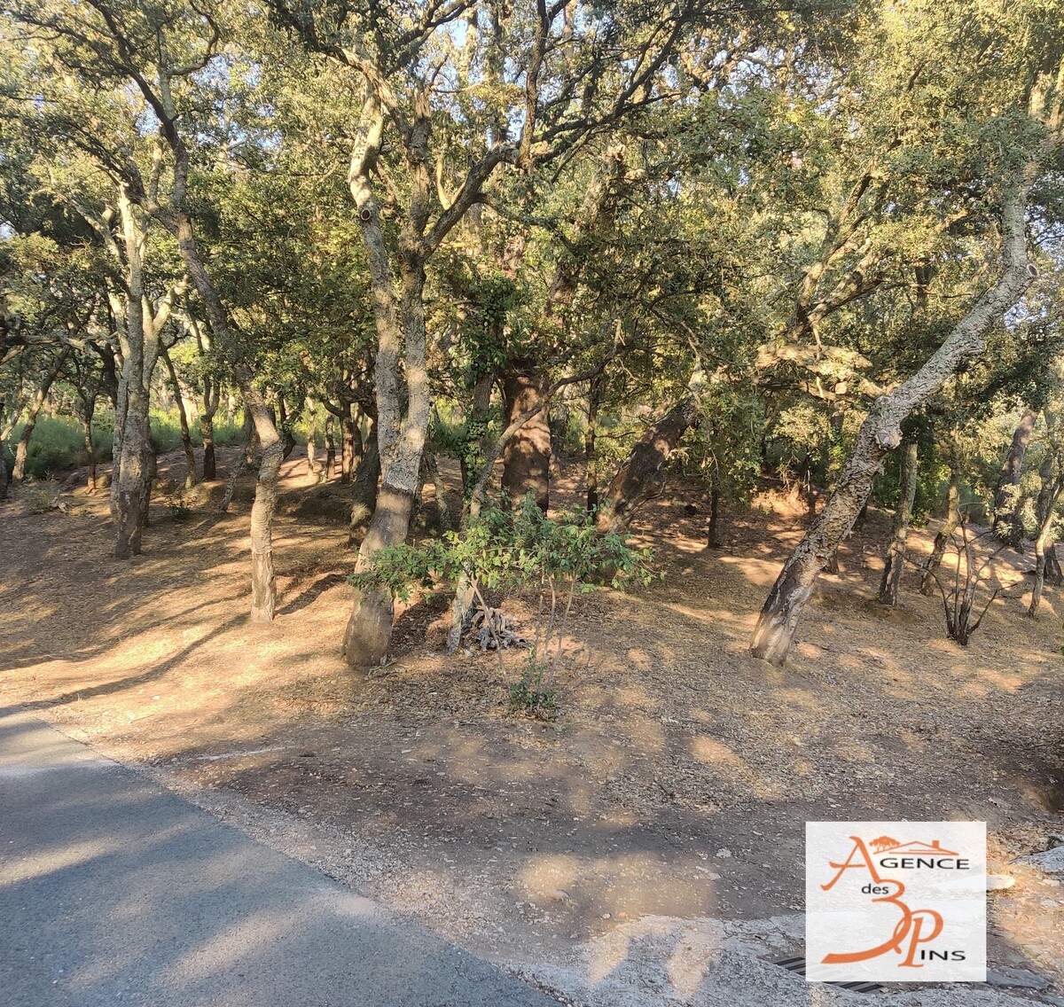 Terrain non constructible - Collobri�res