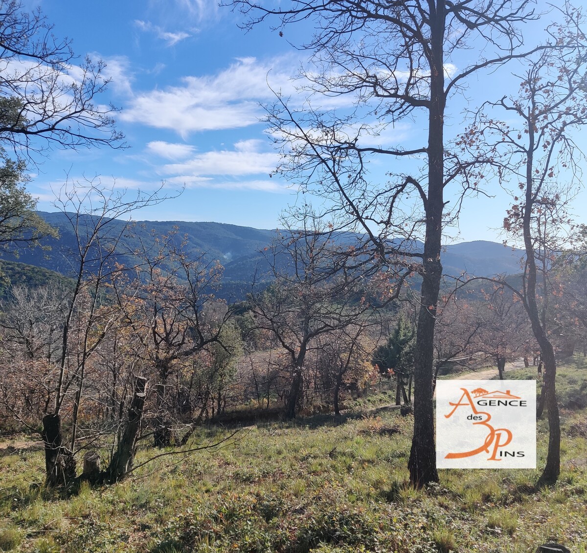 Terrain non constructible - Collobri�res