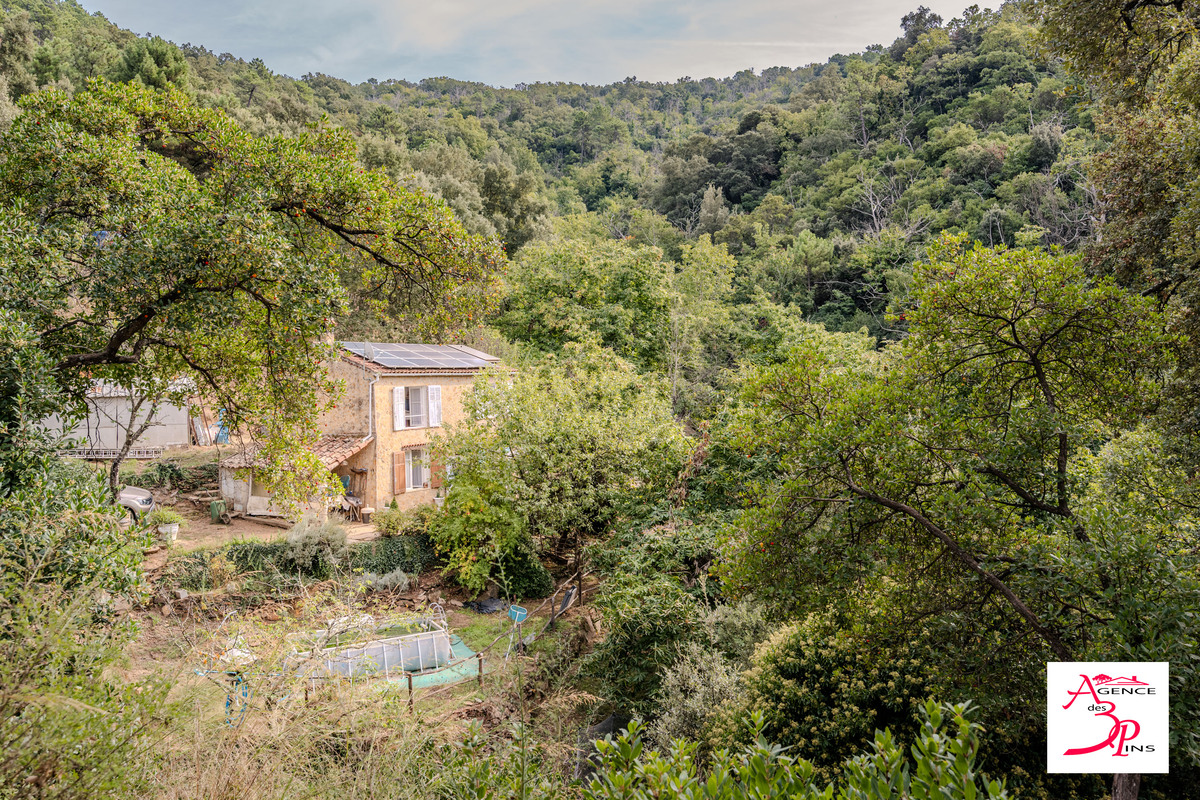 Maison - Collobri�res